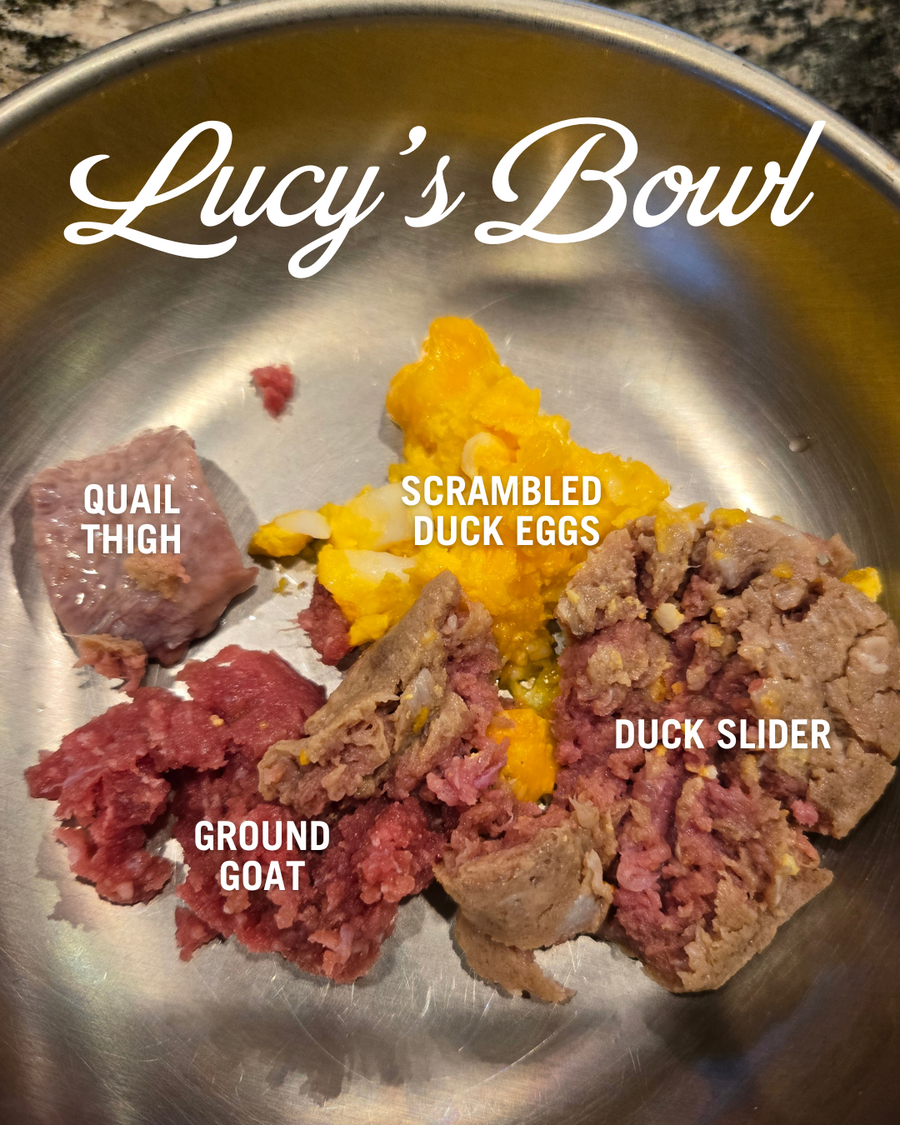 Duck Eats